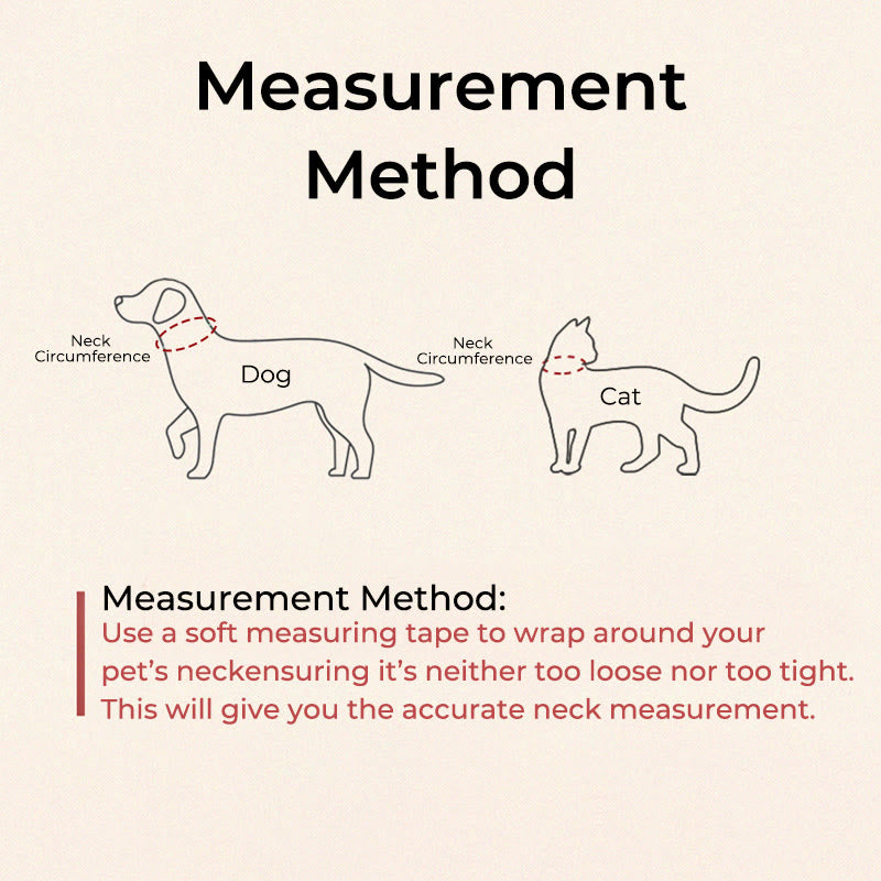 Buddha Stonesシルバーベル 赤 黒 紐 保護 調節可能 猫 小型犬 ペット用首輪 - image 5