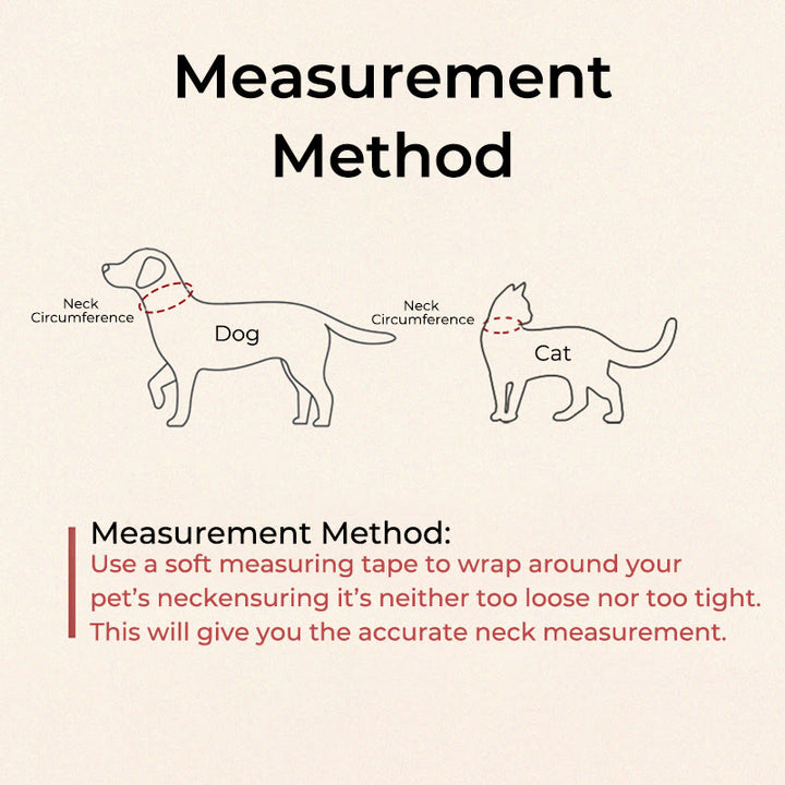 Buddha Stonesシルバーベル 赤 黒 紐 保護 調節可能 猫 小型犬 ペット用首輪 - image 5