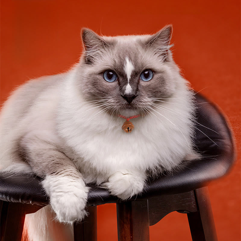 Buddha Stones赤紐桃の木ビーズベル 強度調節可能 猫 小型犬 ペット用首輪 - image 12