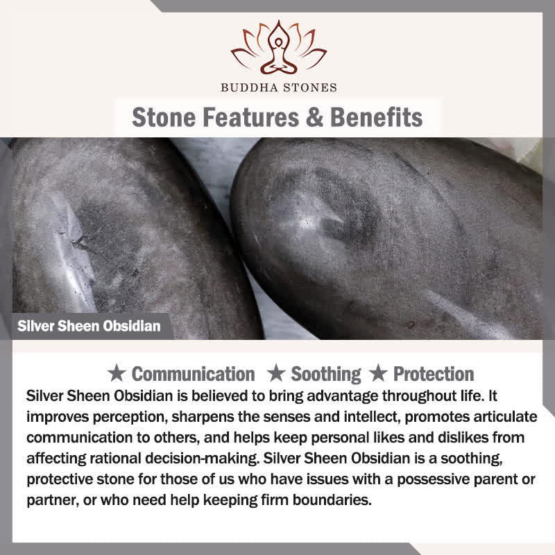 Buddha Stones シルバーシーンオブシディアンキャットペンダントグラウンディング編み込みコードネックレス - image 4