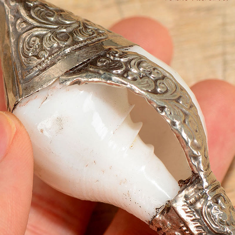 チベットの天然シャンカ貝殻、幸運の富をもたらす家の装飾 - image 5