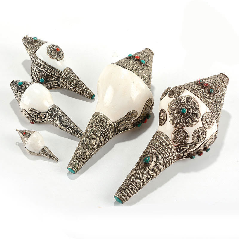 チベットの天然シャンカ貝殻、幸運の富をもたらす家の装飾 - image 19