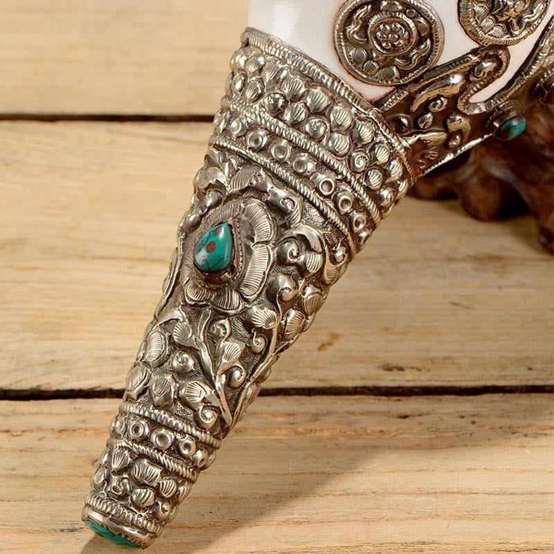 チベットの天然シャンカ貝殻、幸運の富をもたらす家の装飾 - image 16